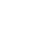 sns icon